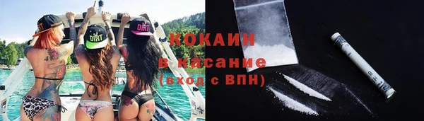 ПСИЛОЦИБИНОВЫЕ ГРИБЫ Белокуриха