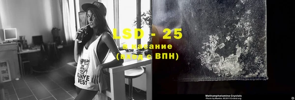 ПСИЛОЦИБИНОВЫЕ ГРИБЫ Белокуриха