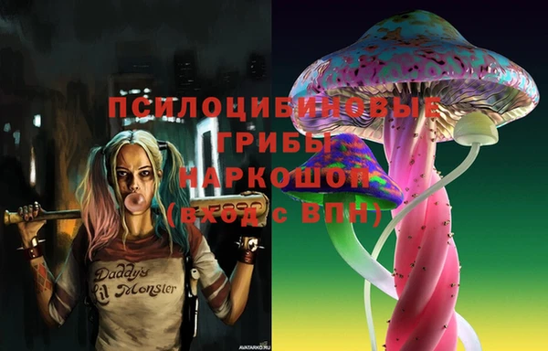 хмурый Белоозёрский